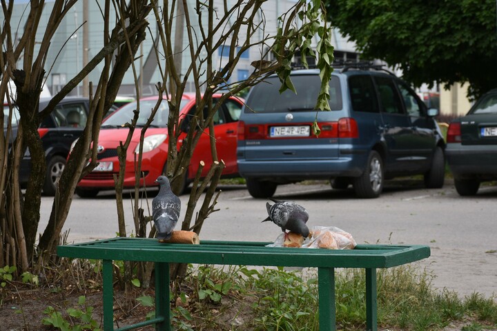 Kolacja na ławeczce pod marketem.  (Maj 2024)