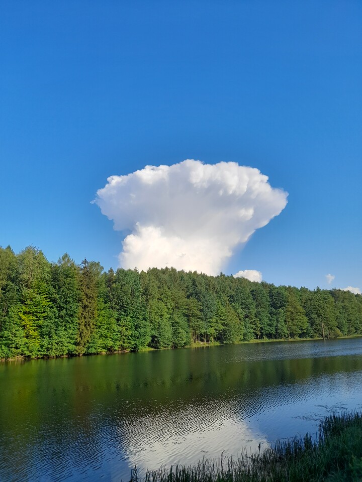 Jelenia Dolina. Cuda natury (Październik 2024)