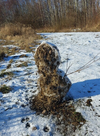 Bałwanek. Nikt bałwankowi nie powiedział, że opalając się trzeba obie strony do słońca wystawiać : ))