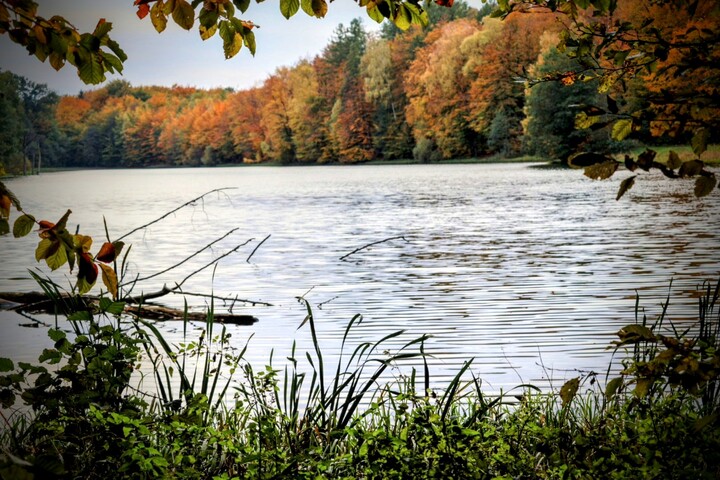 Barwy jesieni. Jelenia dolina