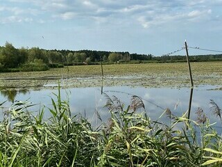 Natura i nowoczesność