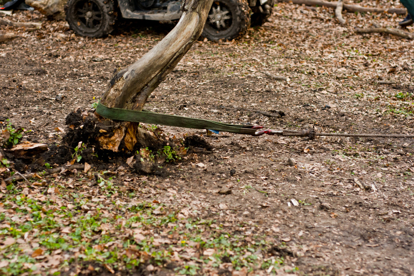 Ekstremalny Rainforest Challenge na Modrzewinie zdjęcie nr 238554