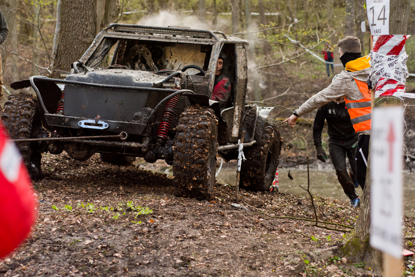 Ekstremalny Rainforest Challenge na Modrzewinie zdjęcie nr 238555