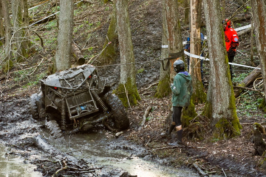 Ekstremalny Rainforest Challenge na Modrzewinie zdjęcie nr 238525