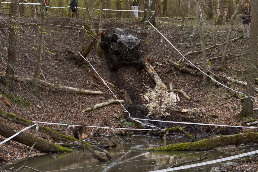 Ekstremalny Rainforest Challenge na Modrzewinie zdjęcie nr 238529