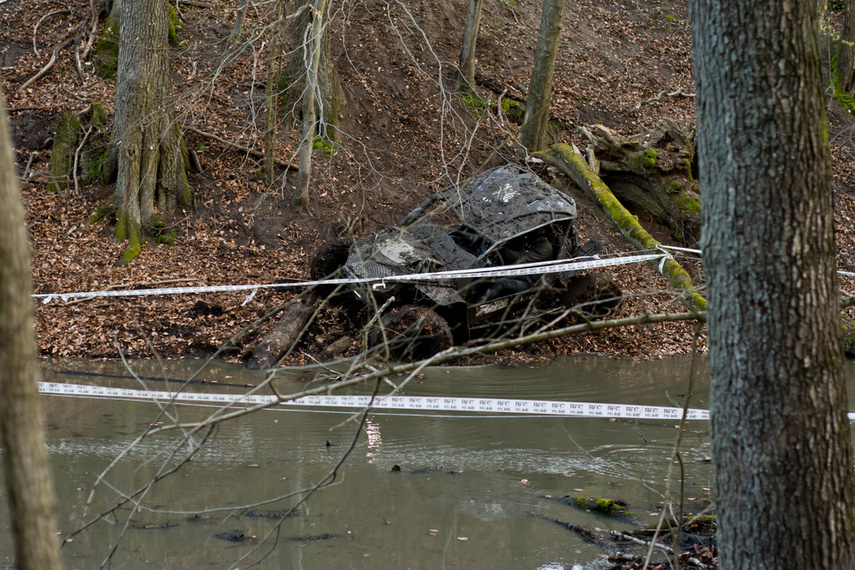 Ekstremalny Rainforest Challenge na Modrzewinie zdjęcie nr 238531