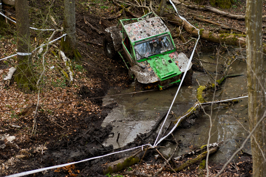 Ekstremalny Rainforest Challenge na Modrzewinie zdjęcie nr 238573