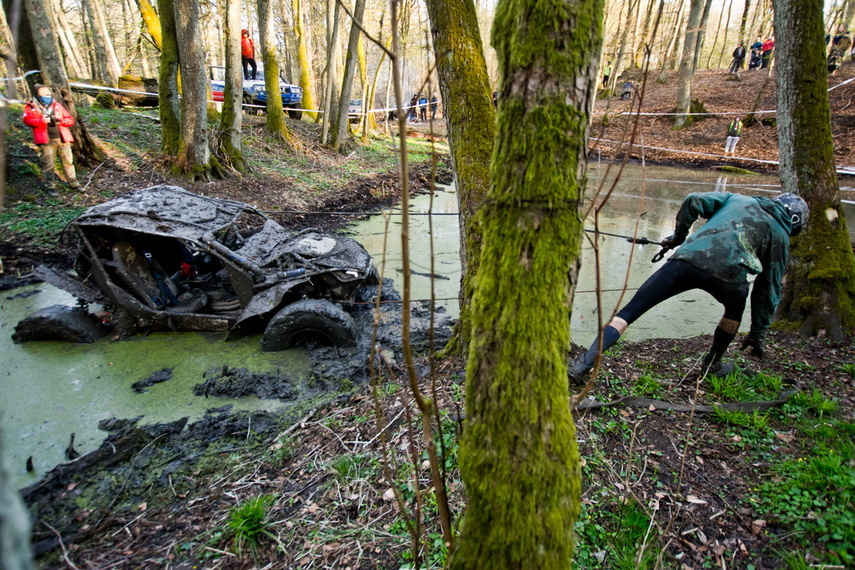 Ekstremalny Rainforest Challenge na Modrzewinie zdjęcie nr 238522