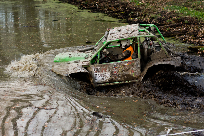 Ekstremalny Rainforest Challenge na Modrzewinie zdjęcie nr 238564