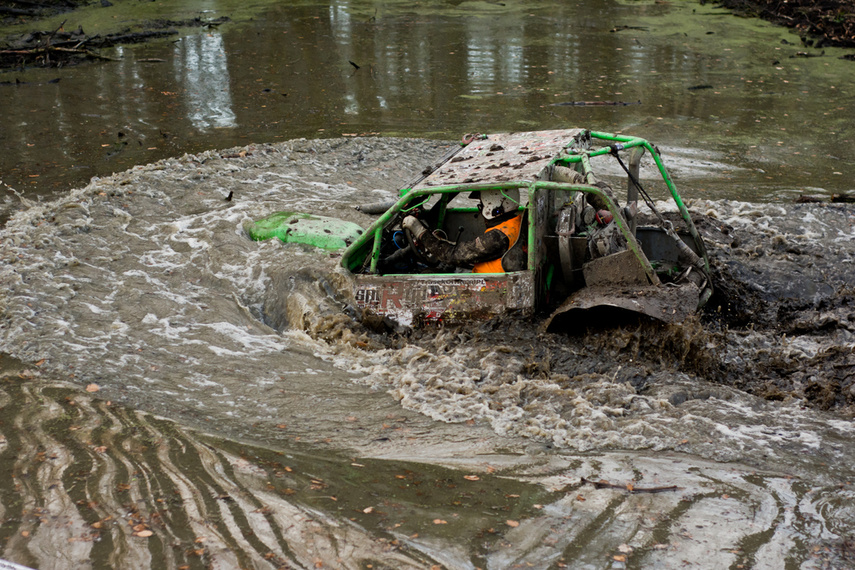 Ekstremalny Rainforest Challenge na Modrzewinie zdjęcie nr 238565