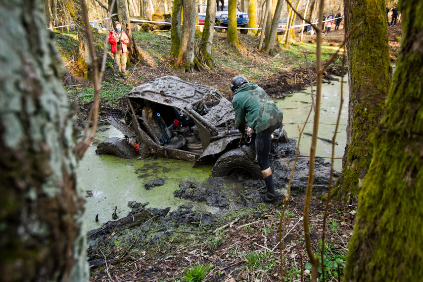 Ekstremalny Rainforest Challenge na Modrzewinie zdjęcie nr 238521