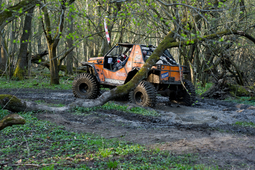 Ekstremalny Rainforest Challenge na Modrzewinie zdjęcie nr 238519