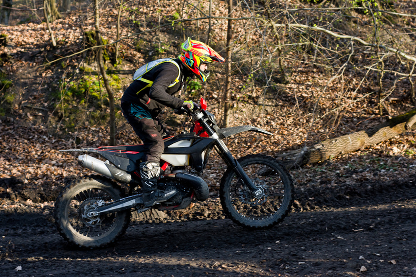 Ekstremalny Rainforest Challenge na Modrzewinie zdjęcie nr 238515