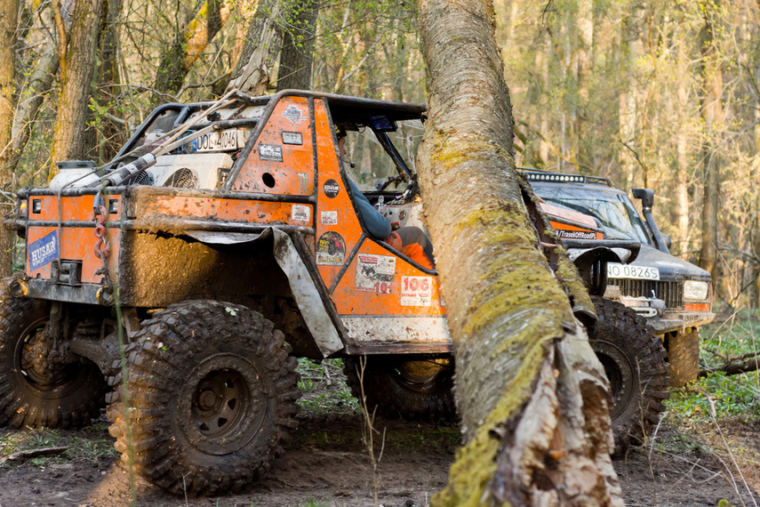 Ekstremalny Rainforest Challenge na Modrzewinie zdjęcie nr 238528