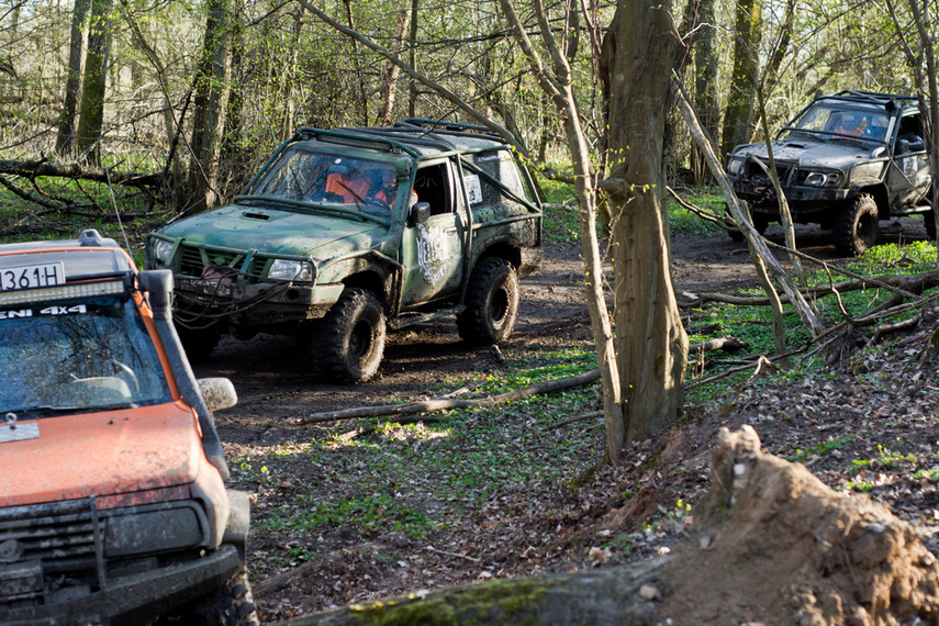 Ekstremalny Rainforest Challenge na Modrzewinie zdjęcie nr 238508