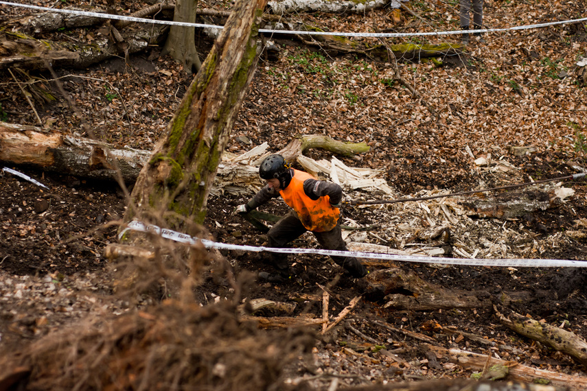 Ekstremalny Rainforest Challenge na Modrzewinie zdjęcie nr 238571