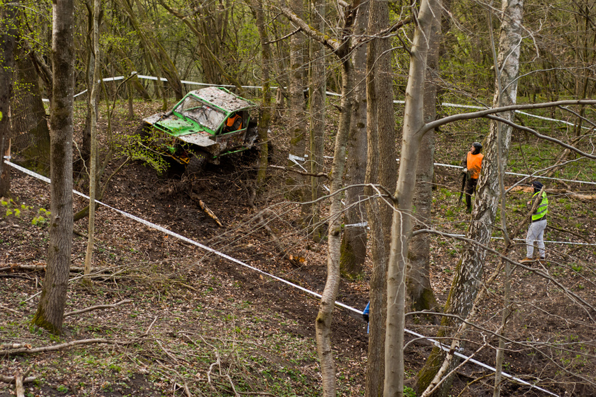 Ekstremalny Rainforest Challenge na Modrzewinie zdjęcie nr 238569