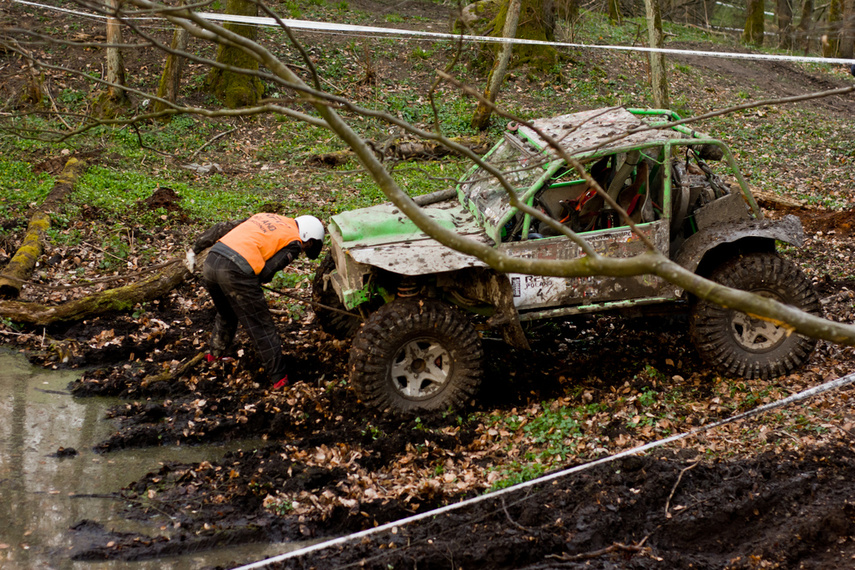 Ekstremalny Rainforest Challenge na Modrzewinie zdjęcie nr 238562