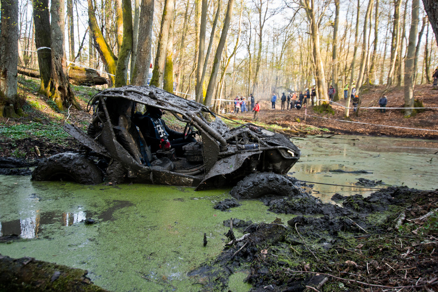 Ekstremalny Rainforest Challenge na Modrzewinie zdjęcie nr 238520