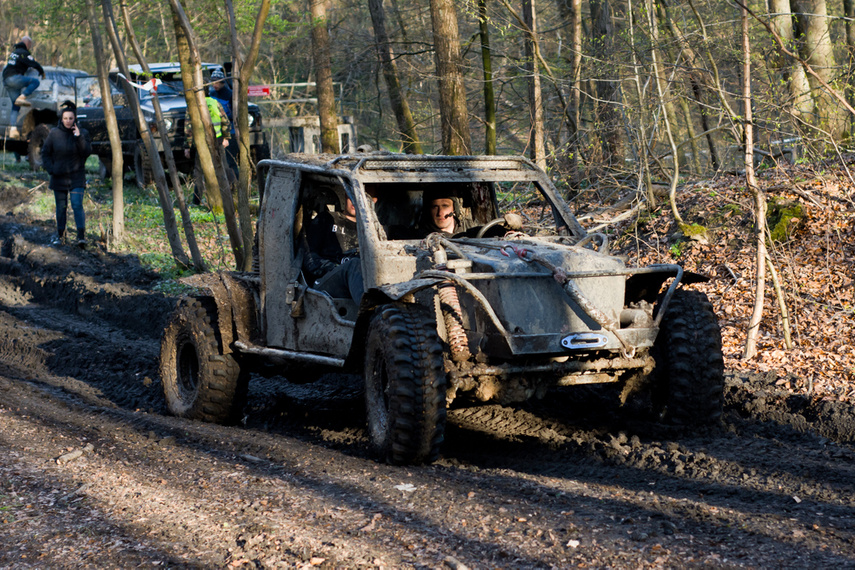 Ekstremalny Rainforest Challenge na Modrzewinie zdjęcie nr 238514