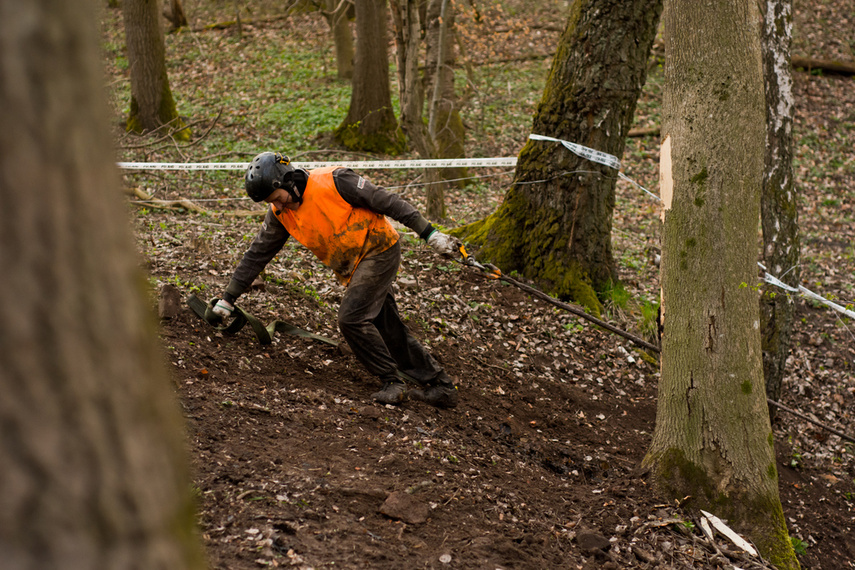 Ekstremalny Rainforest Challenge na Modrzewinie zdjęcie nr 238572