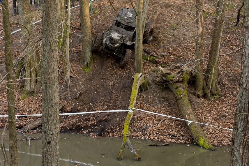 Ekstremalny Rainforest Challenge na Modrzewinie zdjęcie nr 238530