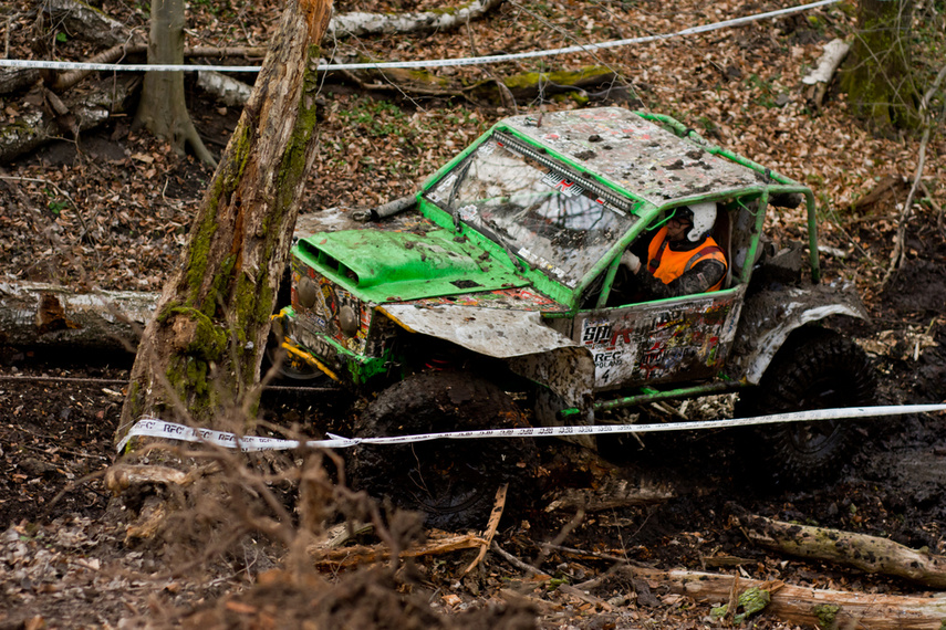 Ekstremalny Rainforest Challenge na Modrzewinie zdjęcie nr 238575