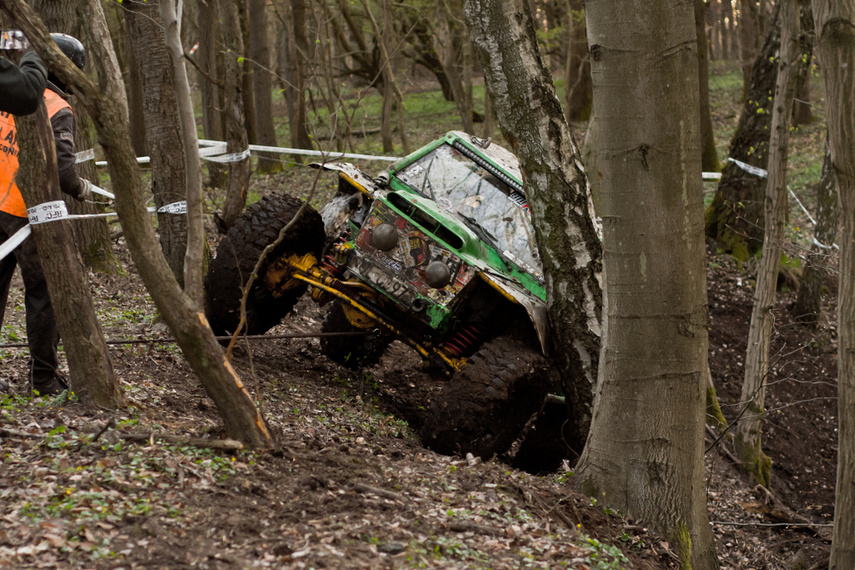 Ekstremalny Rainforest Challenge na Modrzewinie zdjęcie nr 238581