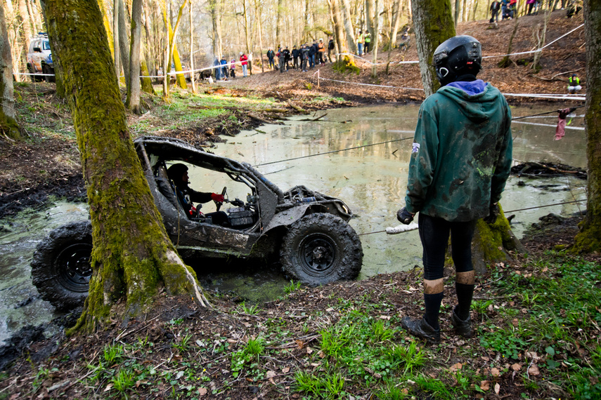 Ekstremalny Rainforest Challenge na Modrzewinie zdjęcie nr 238523