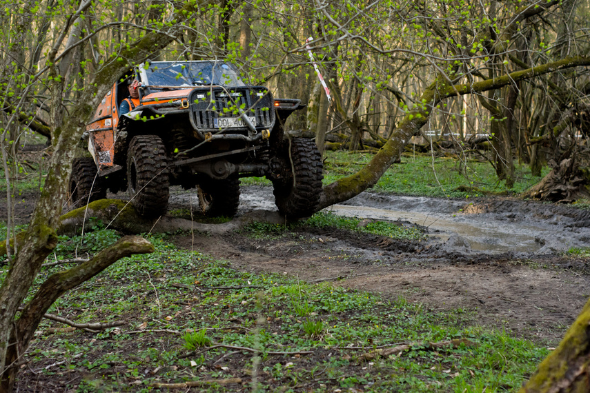 Ekstremalny Rainforest Challenge na Modrzewinie zdjęcie nr 238527