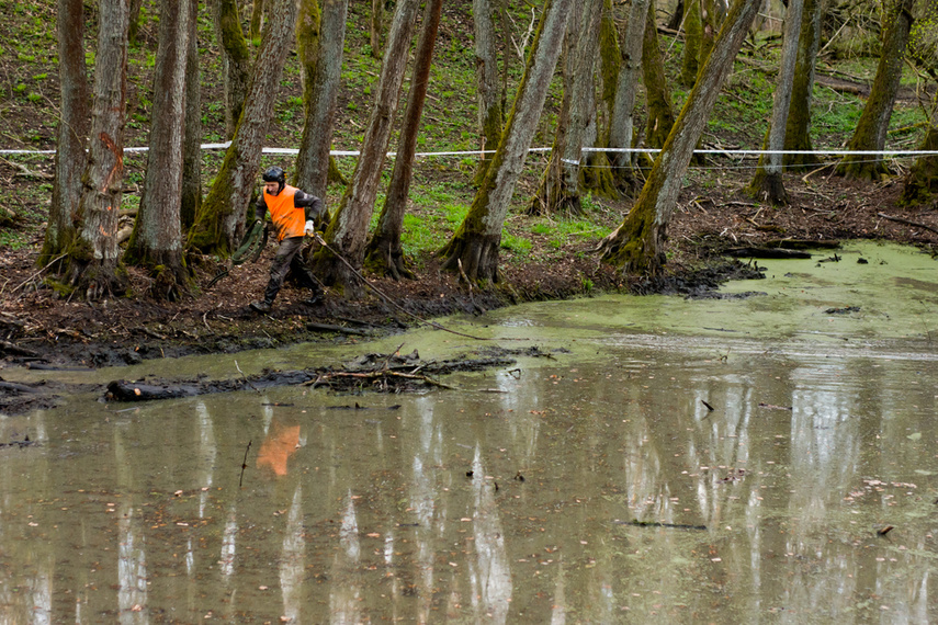 Ekstremalny Rainforest Challenge na Modrzewinie zdjęcie nr 238563