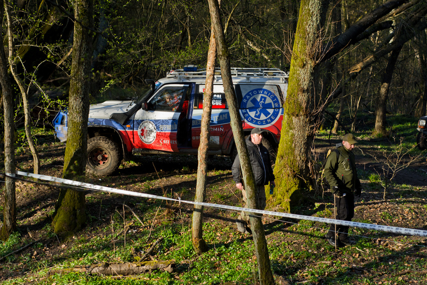 Ekstremalny Rainforest Challenge na Modrzewinie zdjęcie nr 238509