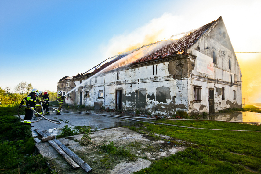 Pożar budynku gospodarczego, z ogniem walczyło blisko 30 strażaków zdjęcie nr 239414