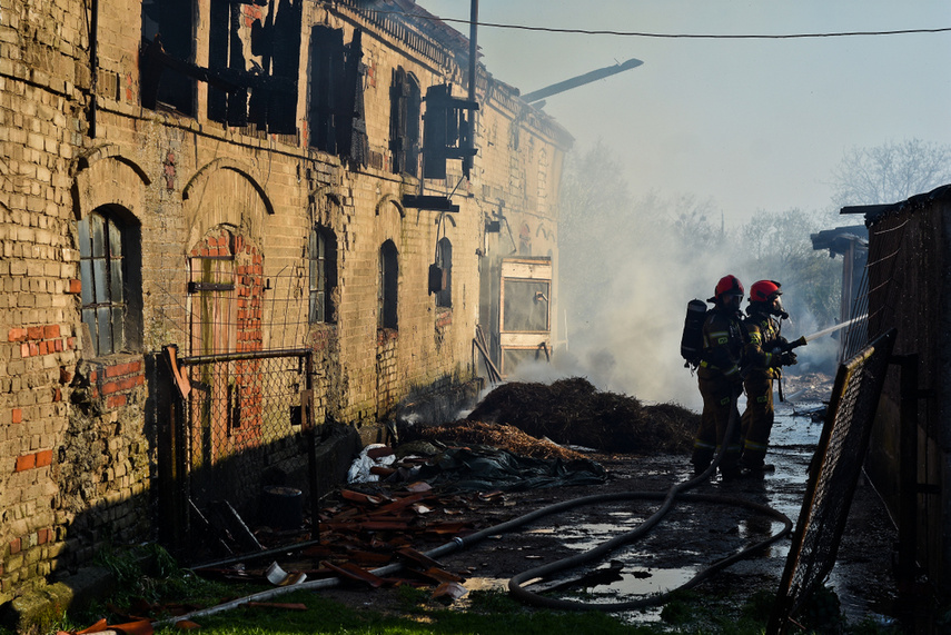 Pożar budynku gospodarczego, z ogniem walczyło blisko 30 strażaków zdjęcie nr 239429