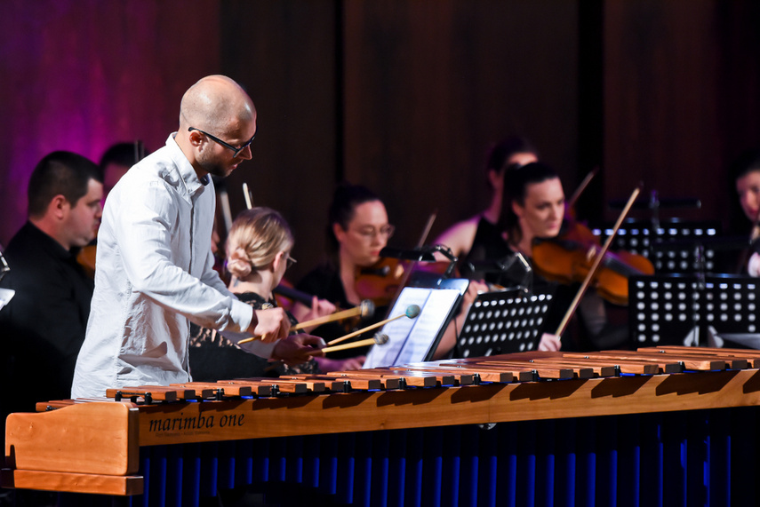 Batuta, marimba i muzyczny egzamin zdjęcie nr 240563