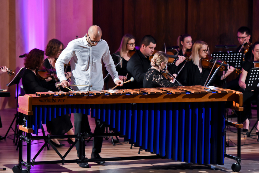 Batuta, marimba i muzyczny egzamin zdjęcie nr 240560