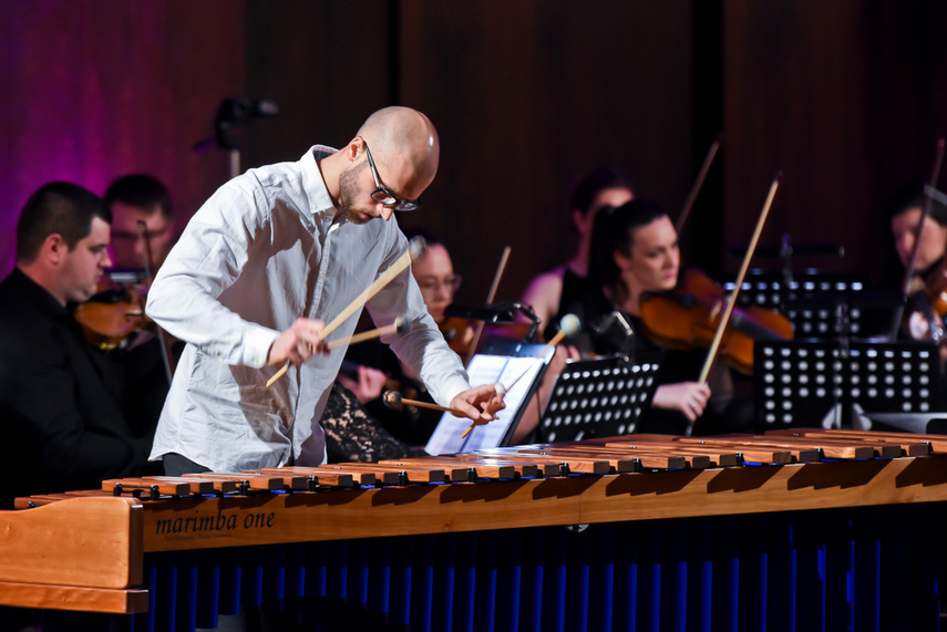 Batuta, marimba i muzyczny egzamin zdjęcie nr 240562