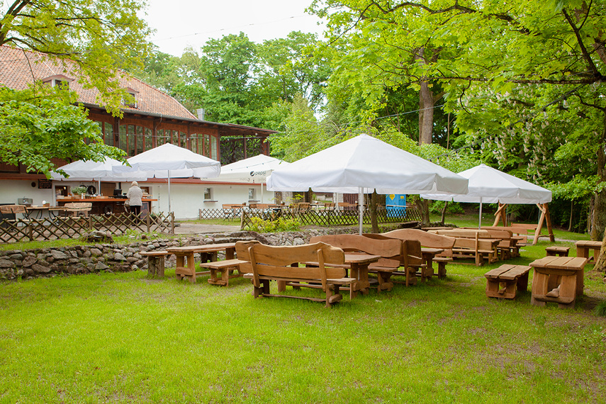 Ryba w lesie? Restauracja Myśliwska zaprasza zdjęcie nr 240697