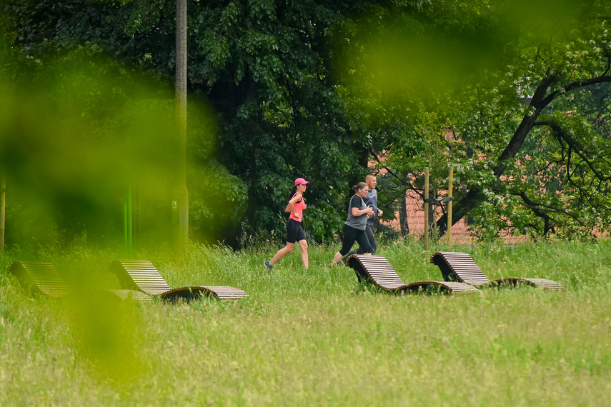 Elbląg zadebiutował w parkrun zdjęcie nr 241313