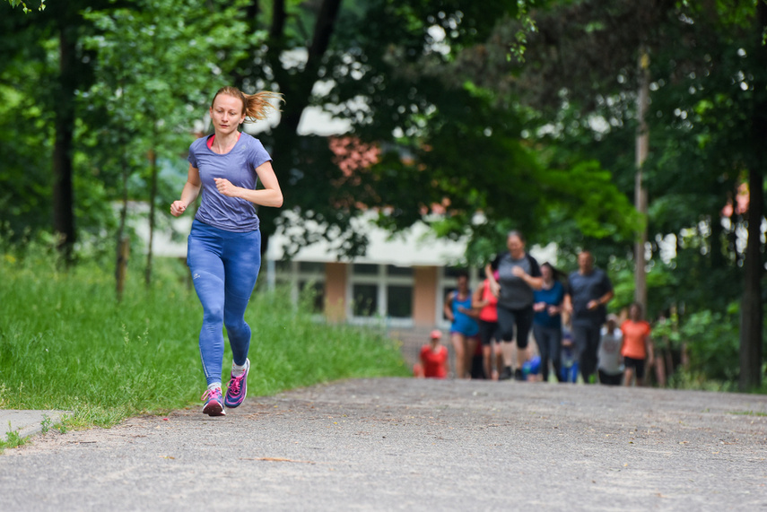 Elbląg zadebiutował w parkrun zdjęcie nr 241294