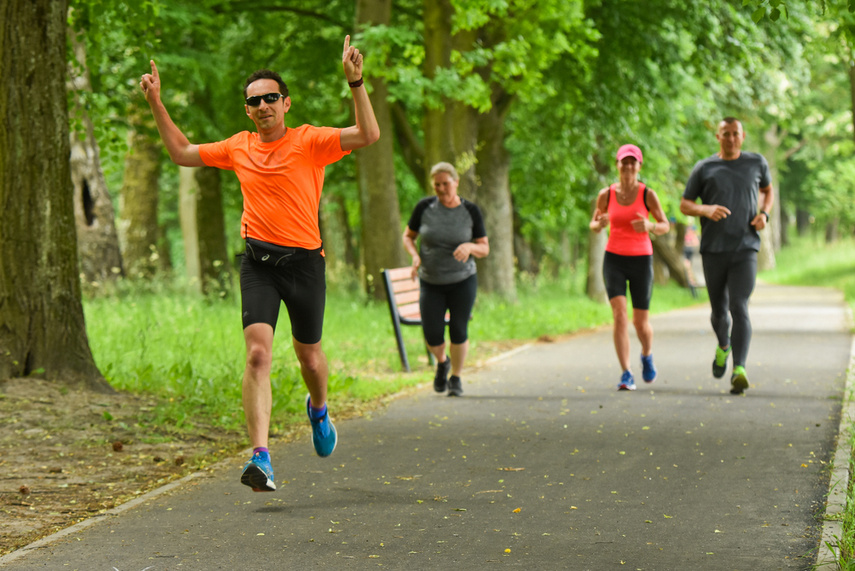 Elbląg zadebiutował w parkrun zdjęcie nr 241311