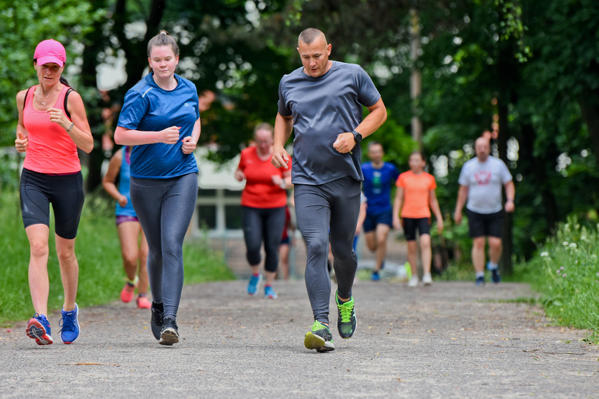 Elbląg zadebiutował w parkrun zdjęcie nr 241295