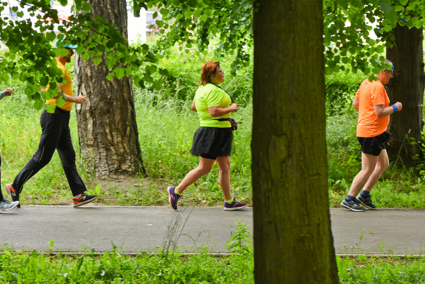 Elbląg zadebiutował w parkrun zdjęcie nr 241303