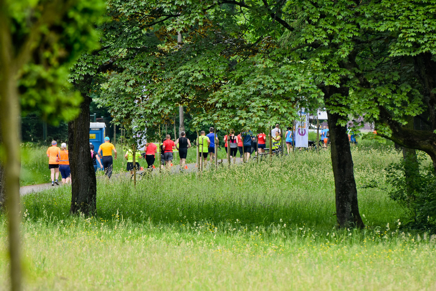 Elbląg zadebiutował w parkrun zdjęcie nr 241288