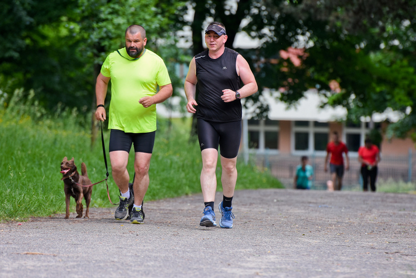 Elbląg zadebiutował w parkrun zdjęcie nr 241297