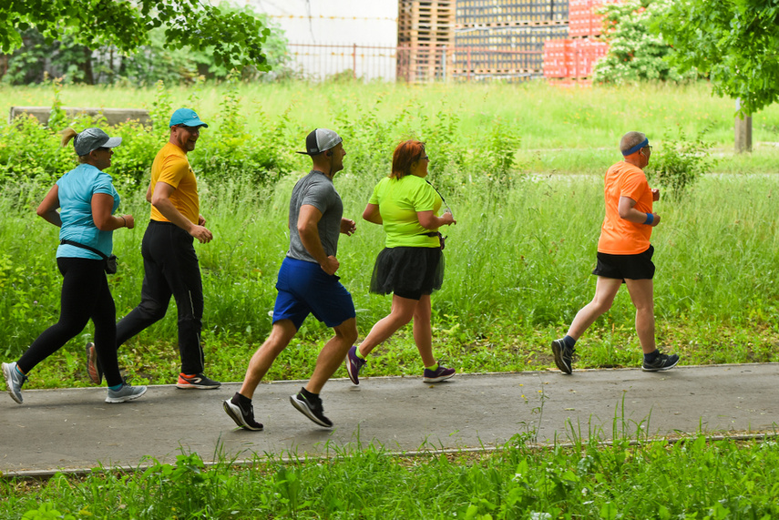 Elbląg zadebiutował w parkrun zdjęcie nr 241304