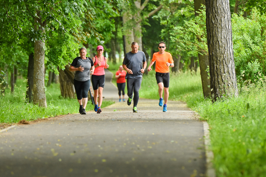 Elbląg zadebiutował w parkrun zdjęcie nr 241310