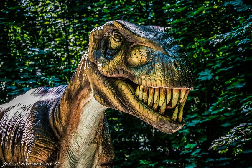 Wyśmienita zabawa dla całej rodziny? Odwiedź Dinopark! zdjęcie nr 245644