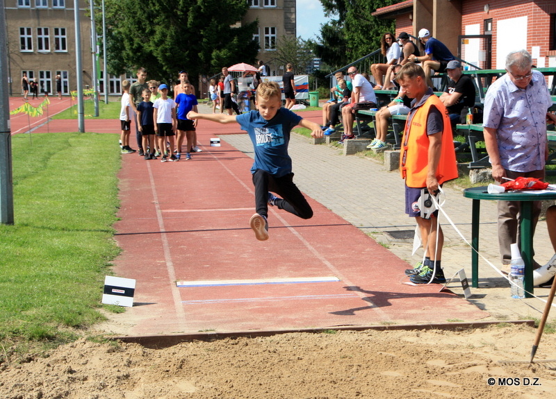 Rodzinne emocje lekkoatletyczne zdjęcie nr 246531