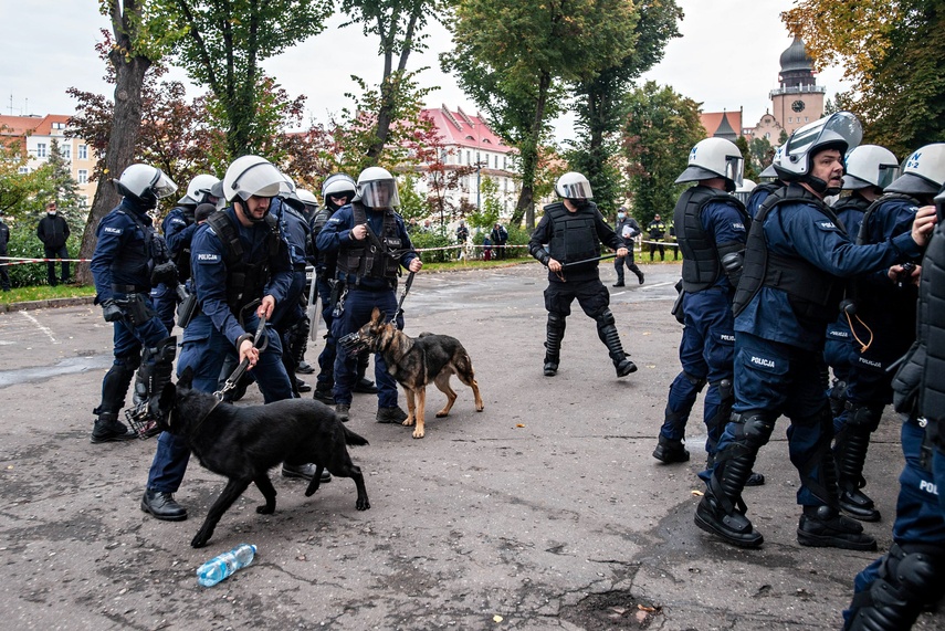 Uwolnić Jurasa zdjęcie nr 249594